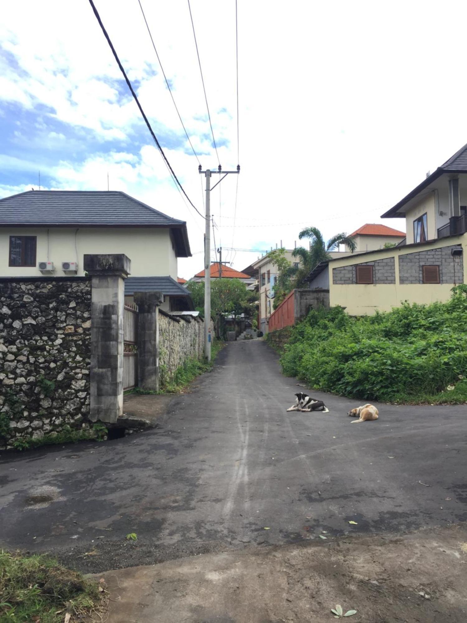 Satria Bungalow Uluwatu Exteriér fotografie